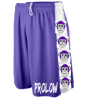 prolow-shorts-purPROLOW DISCONTINUED Youth Game Shorts Wicking Mesh - Augusta - 736