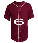 Custom Printed | Adult Full Button Baseball Jersey - CustomPlanet.com