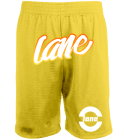 Laneshorts Screen Printed Basketball Shorts | Mens 9" Lined Micromesh Shorts N5255