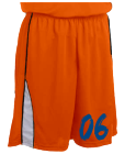 06 DISCONTINUED Youth Basketball Shorts - Buzzer Beater Series - Teamwork Athletic - 4015