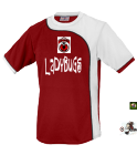 Ladybugs DISCONTINUED Youth Apex Soccer Jersey - 1604