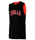 JAYSONJAYSON Chicago Bulls  Youth Reversible Basketball Jerseys - A105LY-BULLS