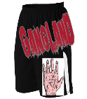 Gangland- Miami Heat Youth Basketball Shorts - A205LY-HEAT