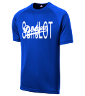 SandLOT Dodgers MLB Adult League Team Jerseys - Official Nike MLB Wordmark Poly Tees - N223