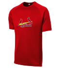 Big-Sky-Medical-Center Cardinals MLB Adult League Team Jerseys - Official Nike MLB Wordmark Poly Tees - N223